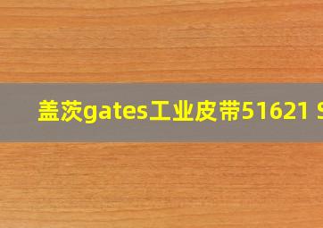 盖茨gates工业皮带51621 SC